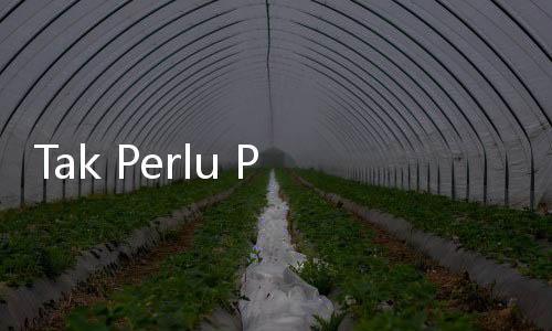 Tak Perlu Pakai Racun, Coba 7 Cara Alami Ini untuk Mengusir Tikus
